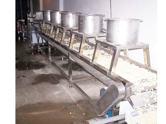 大蒜風(fēng)干機(jī)